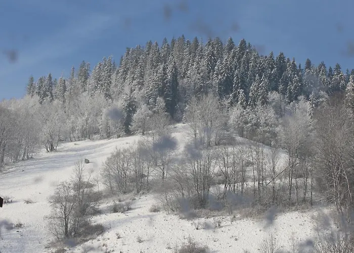 Goscinne Lukaszczyk Проживание в семье *