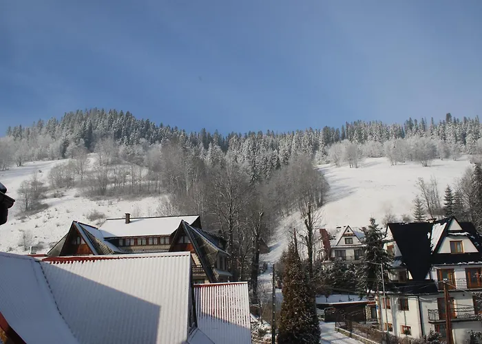 Goscinne Lukaszczyk Проживание в семье *